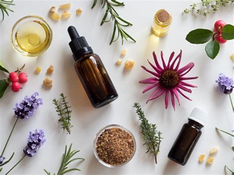 How Are Essential Oils Extracted From Plants Sue Foster Women S Lifestyle Blog