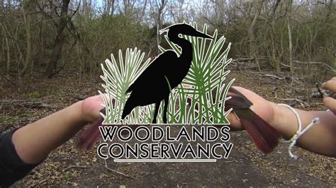 Woodlands Conservancy Land Trust Youtube
