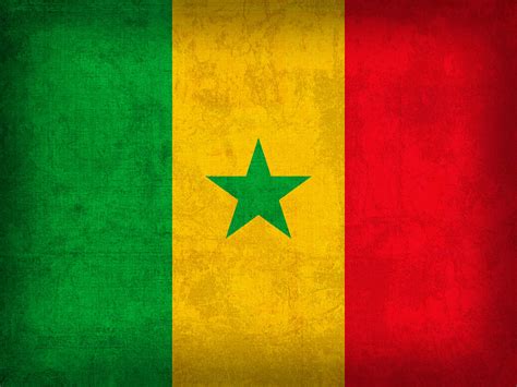 Senegal Flag Vintage Distressed Finish Mixed Media By Design Turnpike