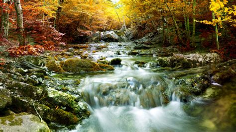 Photos Autumn Nature Streams Waterfalls Moss Trees 1366x768
