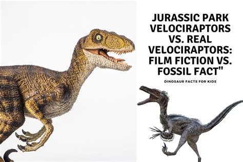 Jurassic Park Velociraptors Vs Real Velociraptors Film Fiction Vs