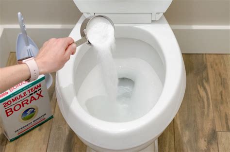 New And Impressive Ways To Use Borax Around The House Toilet Cleaning Toilet Cleaning