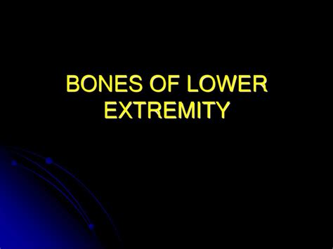 Ppt Bones Of Lower Extremity Powerpoint Presentation Free Download
