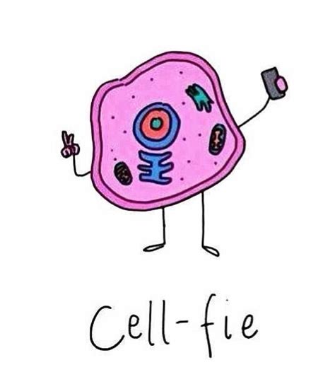 World Of Biochemistry Blog About Biochemistry Cartoon About Cell Fies
