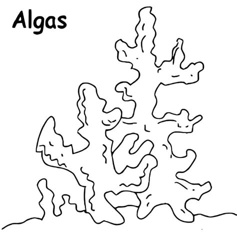 Dibujos De Algas Bajo El Mar Para Colorear Para Colorear Pintar E