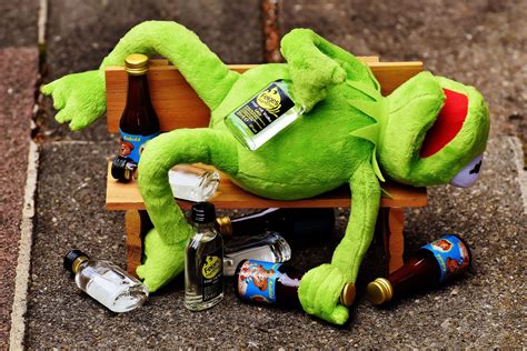 4k iphone pubg 4k joker 4k ultra hd. Kermit The Frog Memes Wallpapers - Wallpaper Cave