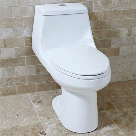 Glacier Bay N2420 1 Piece High Efficiency Dual Flush Elongated Toilet