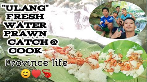 Ang Daming Hipon 😱ulang Fresh Water Prawn Catch Cook Ulang