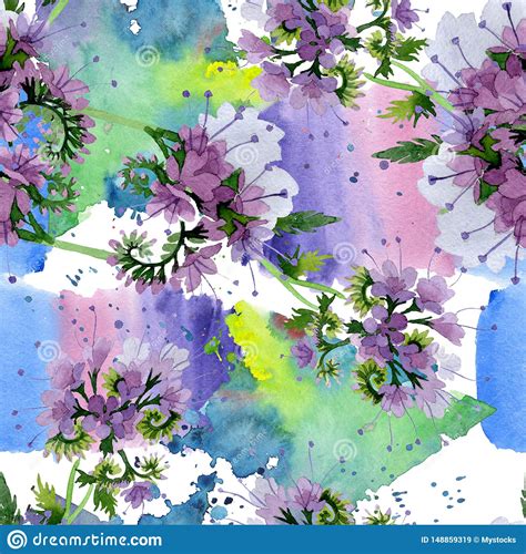 Violet Phaselia Foral Botanical Flowers Watercolor Background