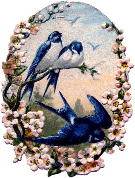 Vintage Birds With Flowers Scrap Pretty The Graphics Fairy