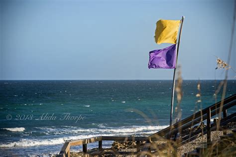 Warning Flags Alida Thorpe Flickr