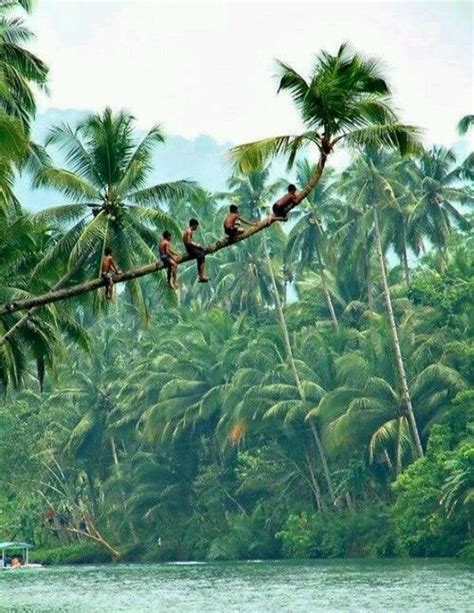 37 Amazing Things To Do On Your Trip To Kerala Traveltriangle Artofit