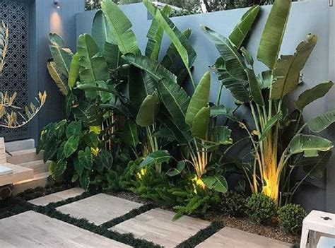 13 Gambar Taman Kecil Belakang Rumah, Bisa Dimanfaatkan untuk Area