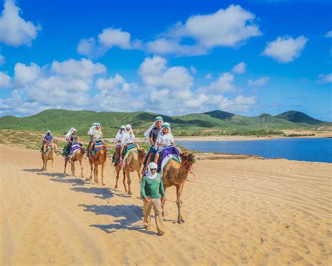 Cactus Tours Camel Ride Los Cabos Passport