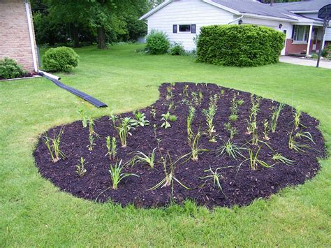 To see more about how to plant a rain garden, visit how to design a rain garden. Rain Gardens - Elkhart County Soil and Water Conservation ...