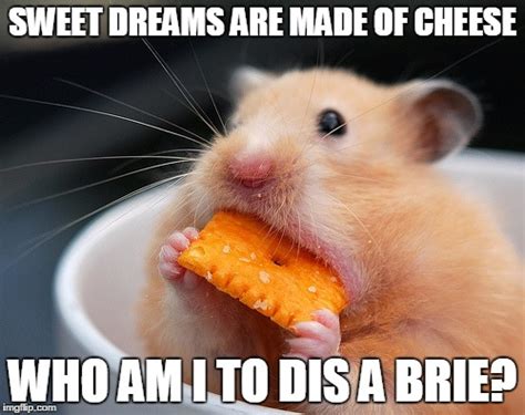 10 Funny Cheese Jokes For People With A Sense Of Humor And Good Taste