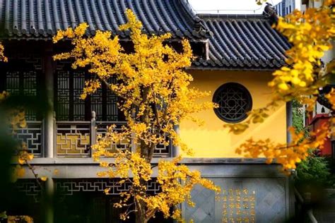 Food & beverage, restaurants & bistros absolute thai gardens. A chamber in the ancient Soul Valley Temple in Nanjing in ...