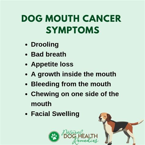 What Are The Symptoms Of Oral Cancer In Dogs