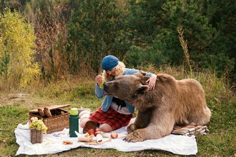 Stepan The Bear Gobbles Up Cookies — Not People — During Delightful Picnic