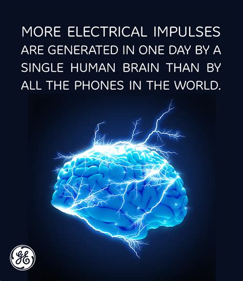 More Electrical Impulses Are Generated In One Day By A Single Human