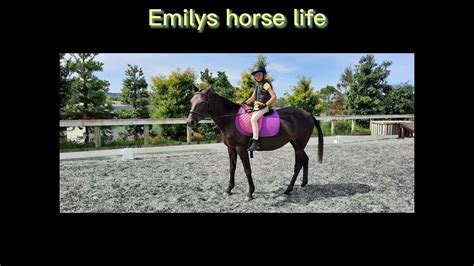 Emilys Horse Life Intro Youtube
