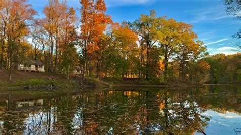 Check spelling or type a new query. Meeman-Shelby Forest State Park - Tennessee State Parks