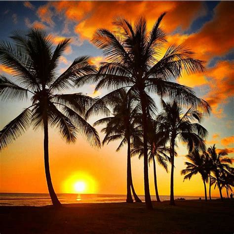 Tropical Hawaiian Sunset Heavenly Photo By Nemohunter Tropical
