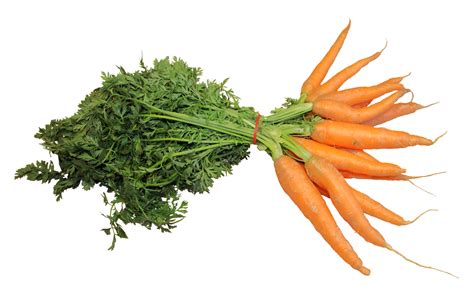 Fresh Carrot Png Image Purepng Free Transparent Cc0 Png Image Library