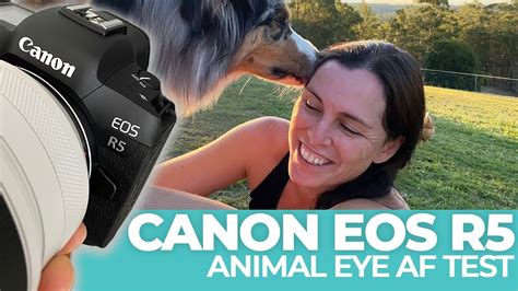 Pet Photographer Tests Out Animal Af On The Canon Eos R5 Mirrorless