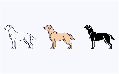 Premium Vector Labrador Retriever Dog Breeds Illustration Icon