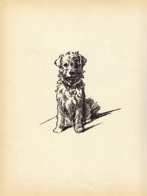 Terrier Antique Dog Prints Art Antique Sealyham Terrier Terrier Dogs