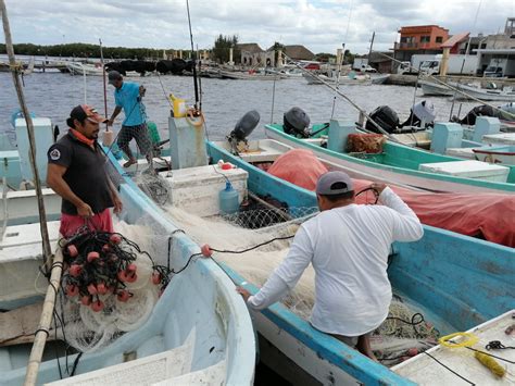 Pescadores En Crisis Por Baja Captura En Río Lagartos Yucatán Poresto