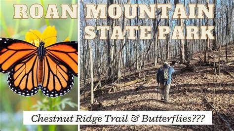 Nature S Hidden Gem Chestnut Ridge Trail Hike Butterfly Sanctuary At