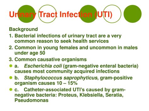 Ppt Urinary Tract Infection Uti Powerpoint Presentation Free Download Id177583