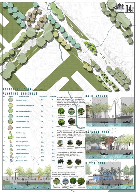 Planting Selection Landscape Architecture Board Check Out My B