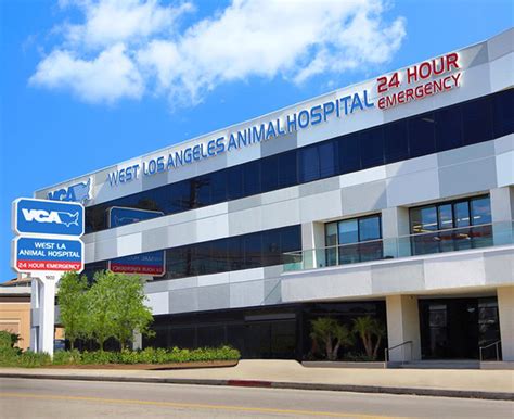 Our Hospital Vca West Los Angeles Animal Hospital Primary