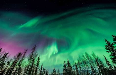 Fairbanks Alaska Getty Images See The Northern Lights Northern