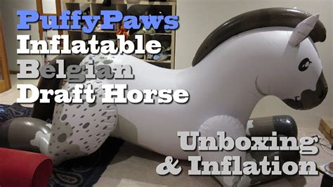 Unboxing And Inflating Puffypaws Inflatable Belgian Draft Horse Youtube