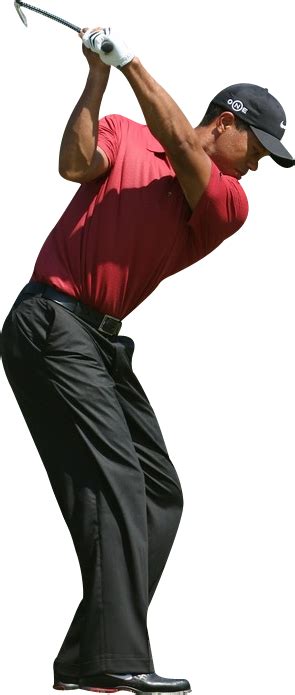 Tiger Woods Png Vector Images With Transparent Background Transparentpng