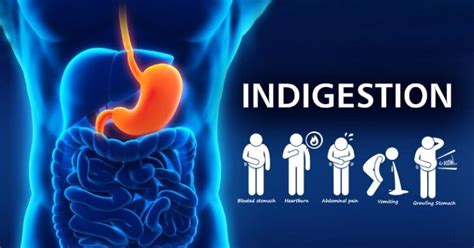 Indigestion Symptoms Causes And Effective Home Remedies Healthtian