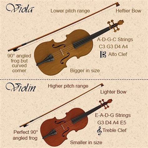 Viola Vs Violin