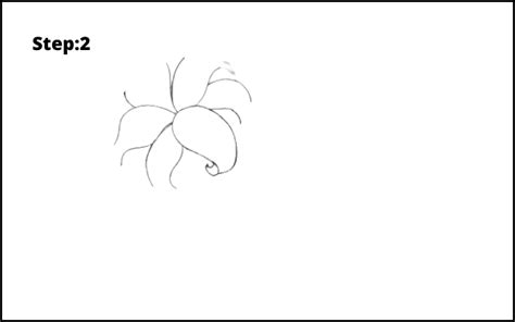 11 Step By Step Lily Flower Drawing Easy Ways Drawwiki