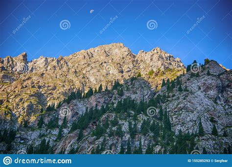 Beautiful Landscape Forest With Rocks Fir Trees And Blue Sky In