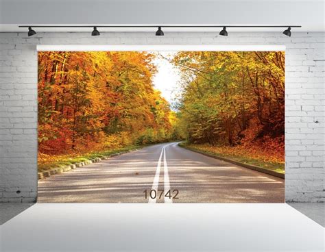 Sjoloon Autumn Photography Background Forest And Road Photo Backdrops