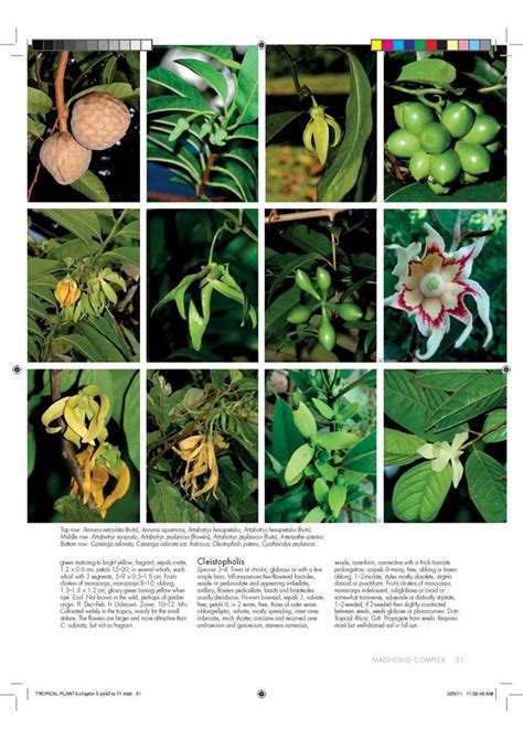 Encyclopedia Of Tropical Plants Identification And Cultivation Of Over