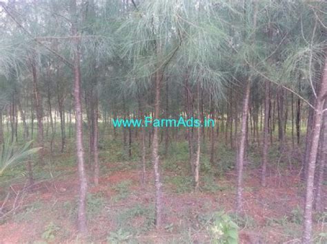 10 Acres Agriculture Land For Sale Near Kadakolananjangud Road Mysore