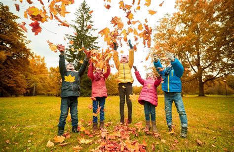 Hd Picture Happy Children Playing Autumn Leaves 07 Free Download