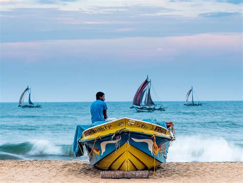 The Ultimate Things To Do In Negombo With Blue Lanka Tours