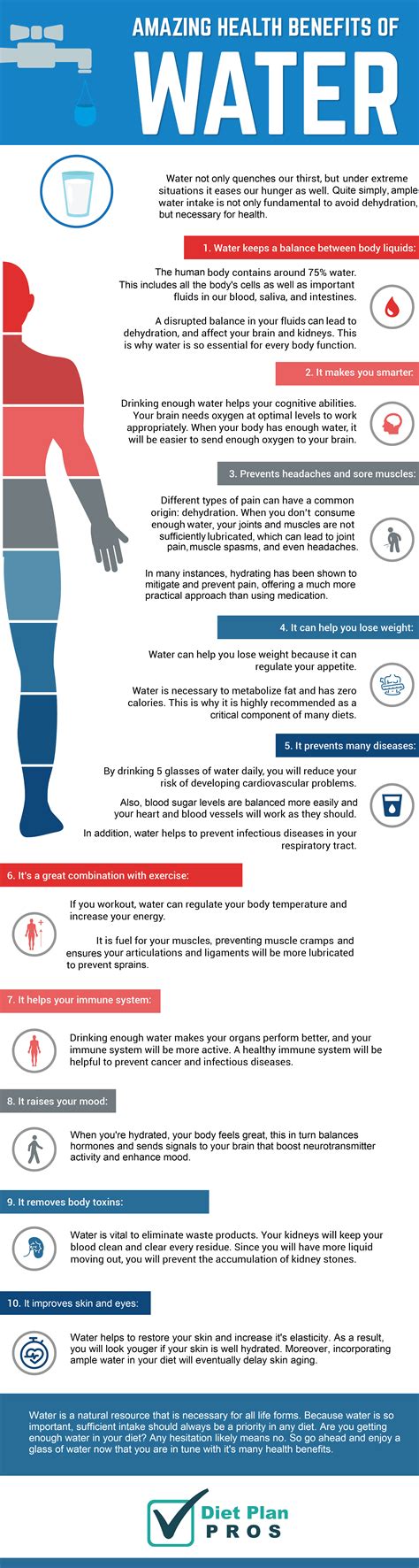 10 Amazing Health Benefits Of Water Staying Hydrated Diet Plan Pros