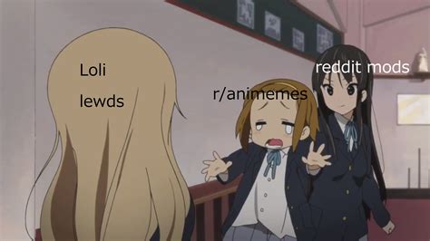 Are Reddit Lolicon Policy Memes Still Relevant Ranimemes